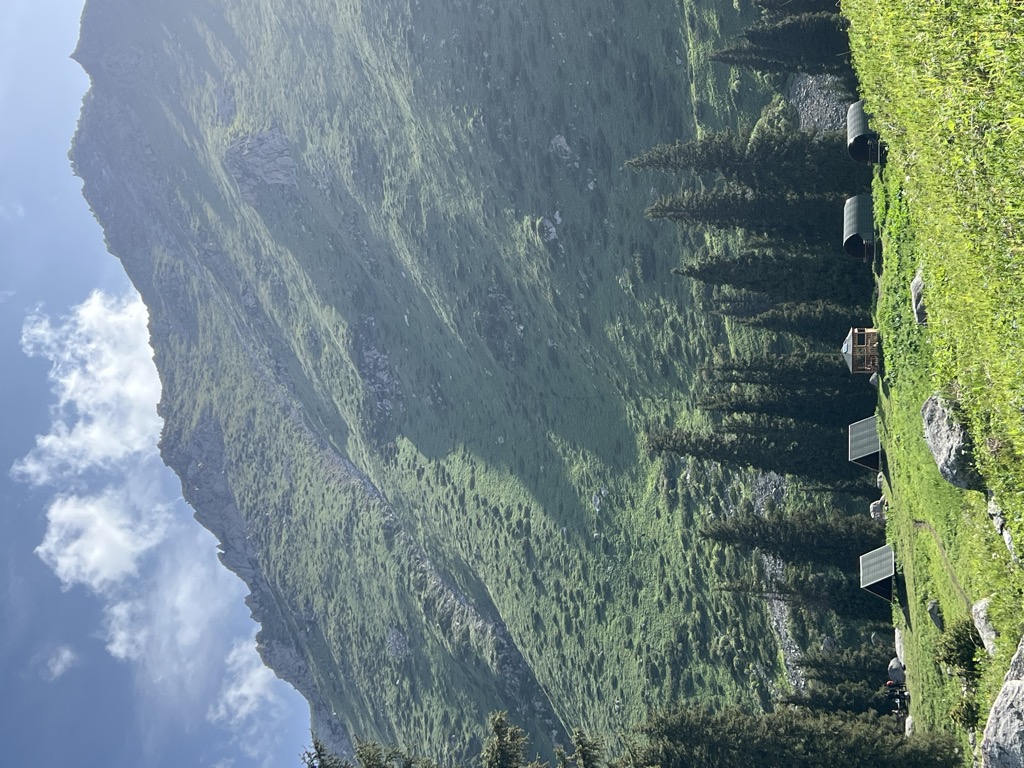hut-terra-glade