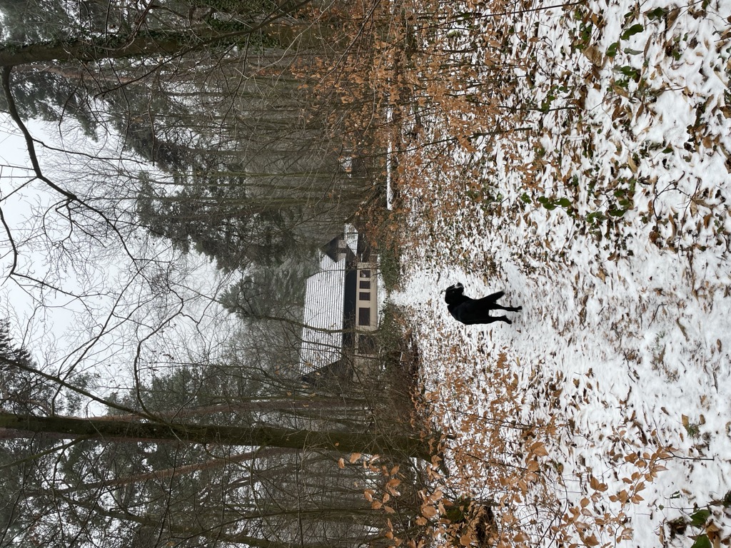 hutte-in-der-weilach