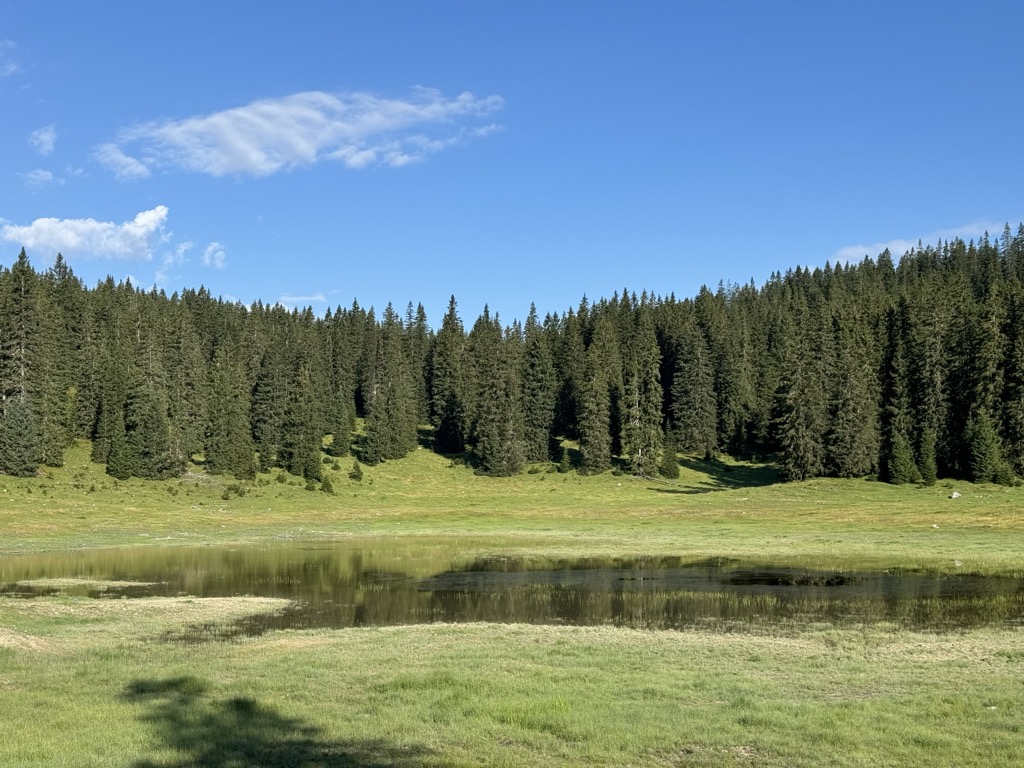 Photo №2 of Igelsee