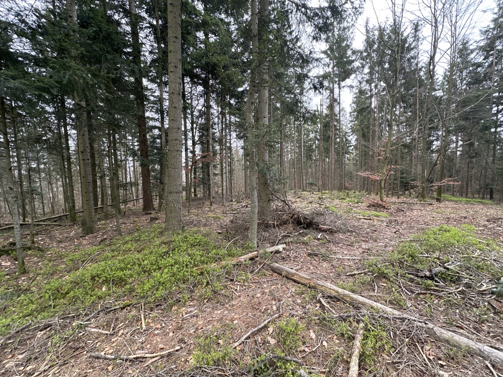 Photo №2 of Im Riegel
