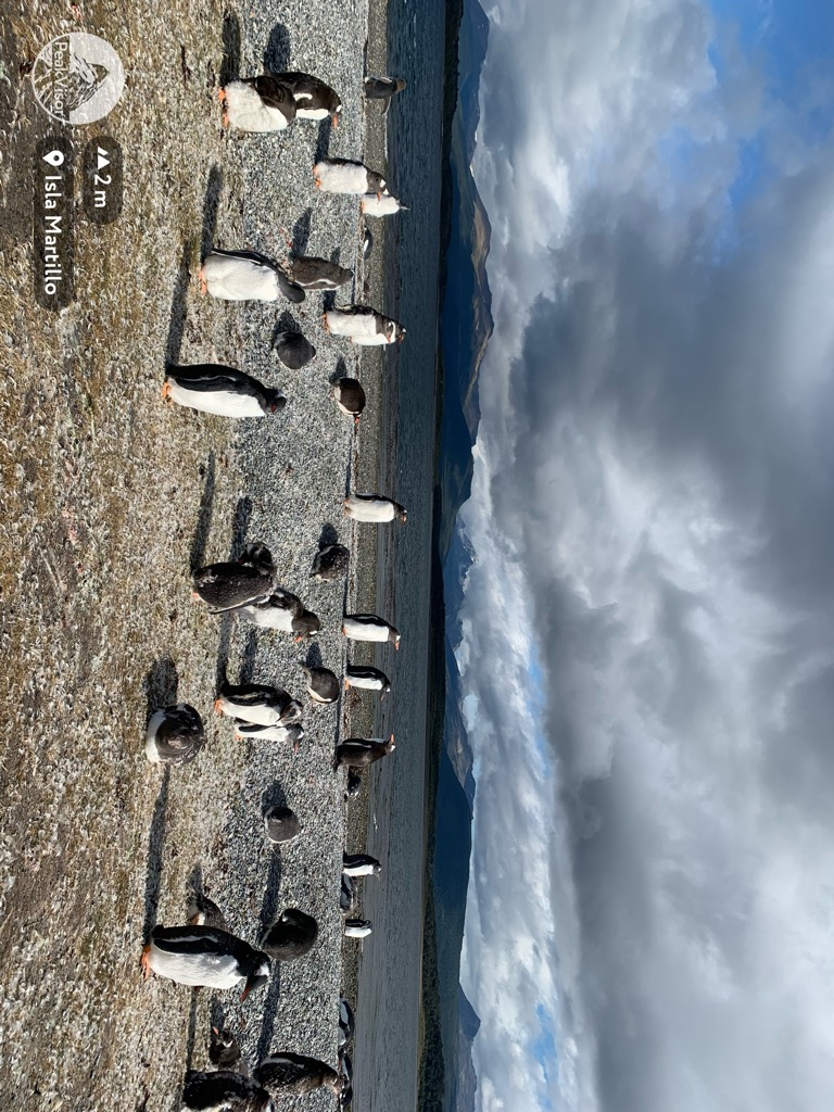 Photo №3 of Isla Martillo