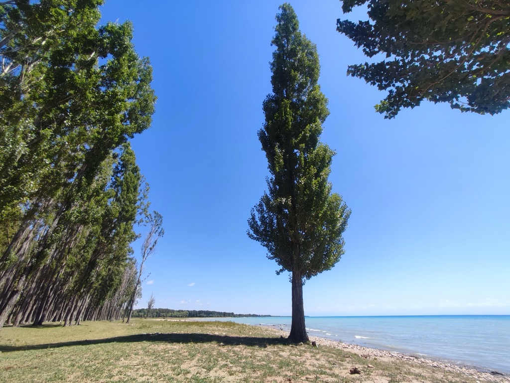 Photo №10 of Issyk-Kul