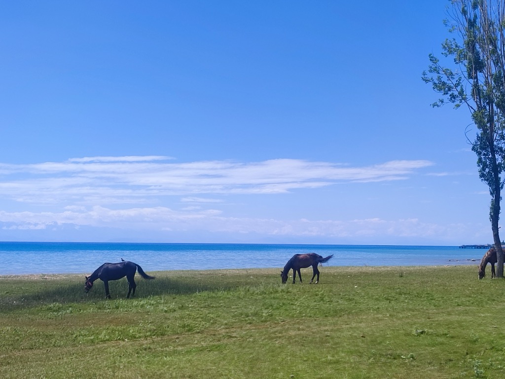 Photo №8 of Issyk-Kul