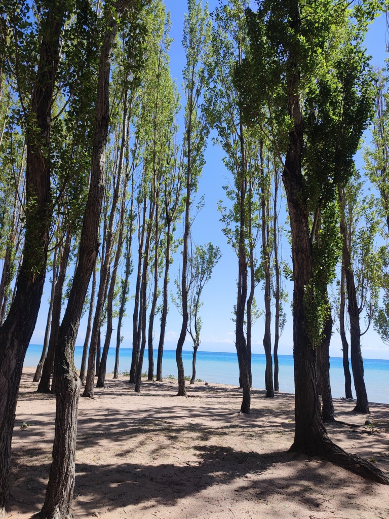 Photo №4 of Issyk-Kul