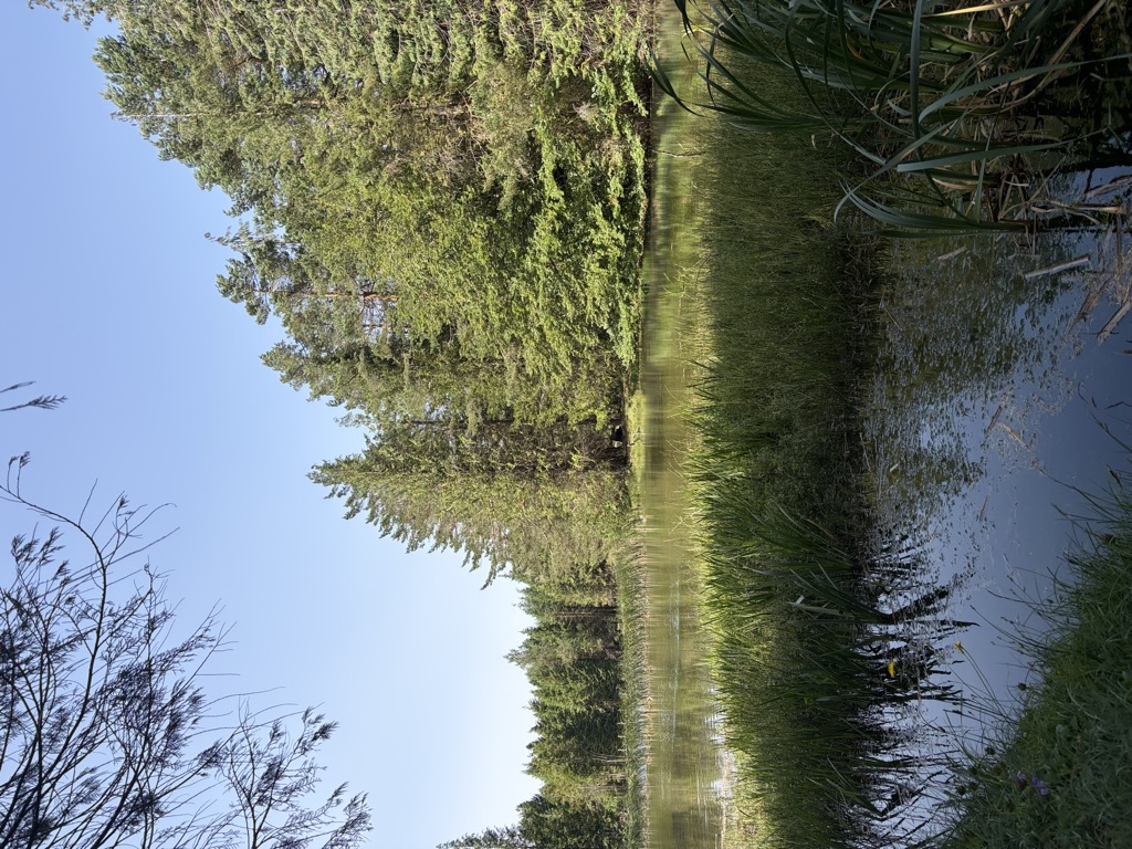 Iturbeltzeko urtegia