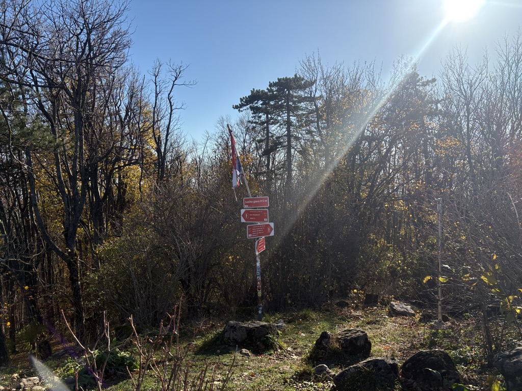 Photo №1 of Ivačka glava