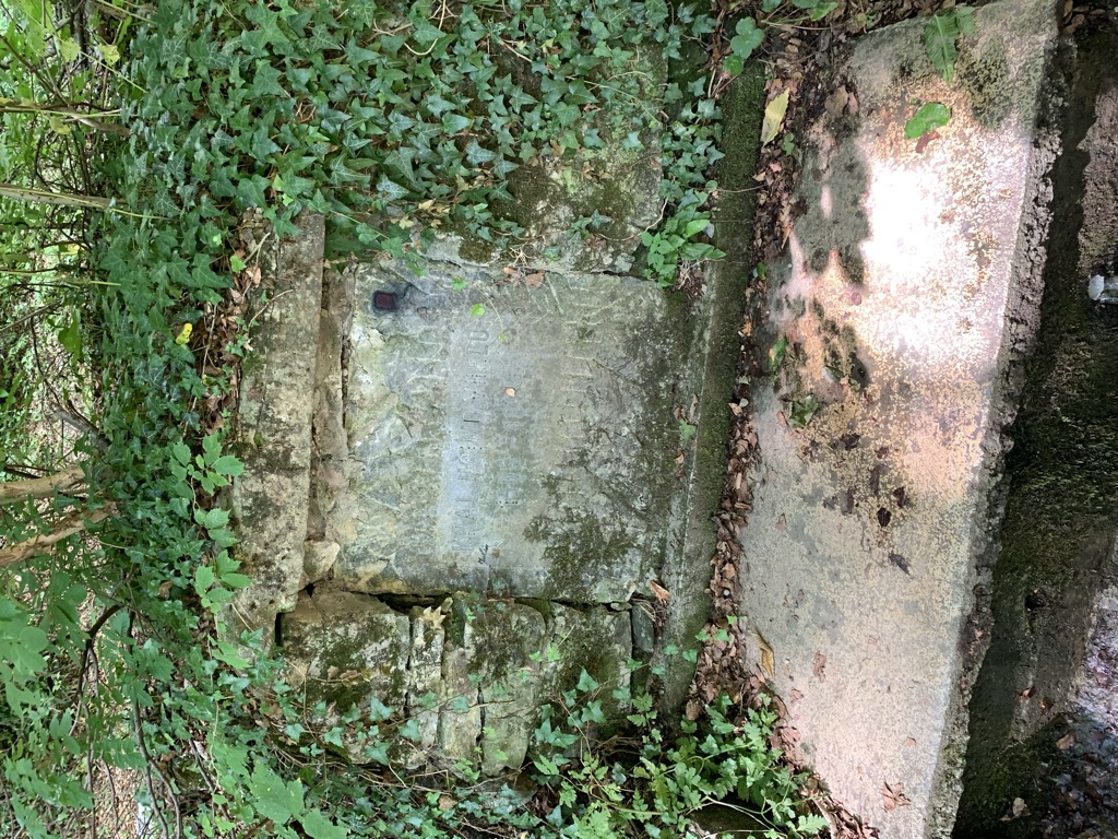 izletiste-kraljicin-zdenac-1