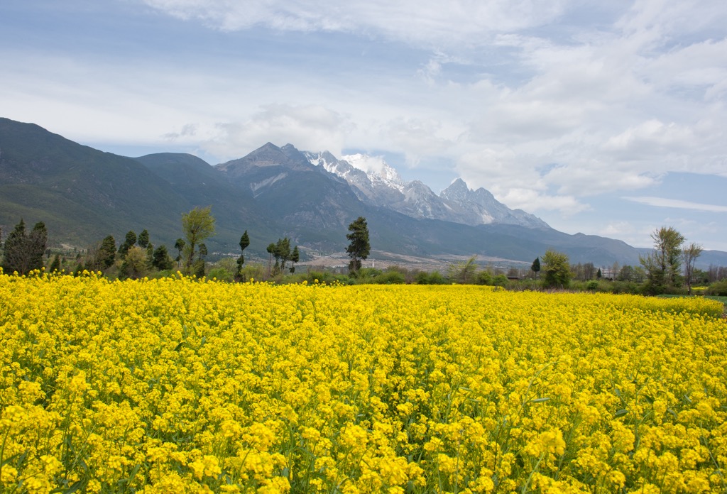 Jade Dragon Snow Mountains