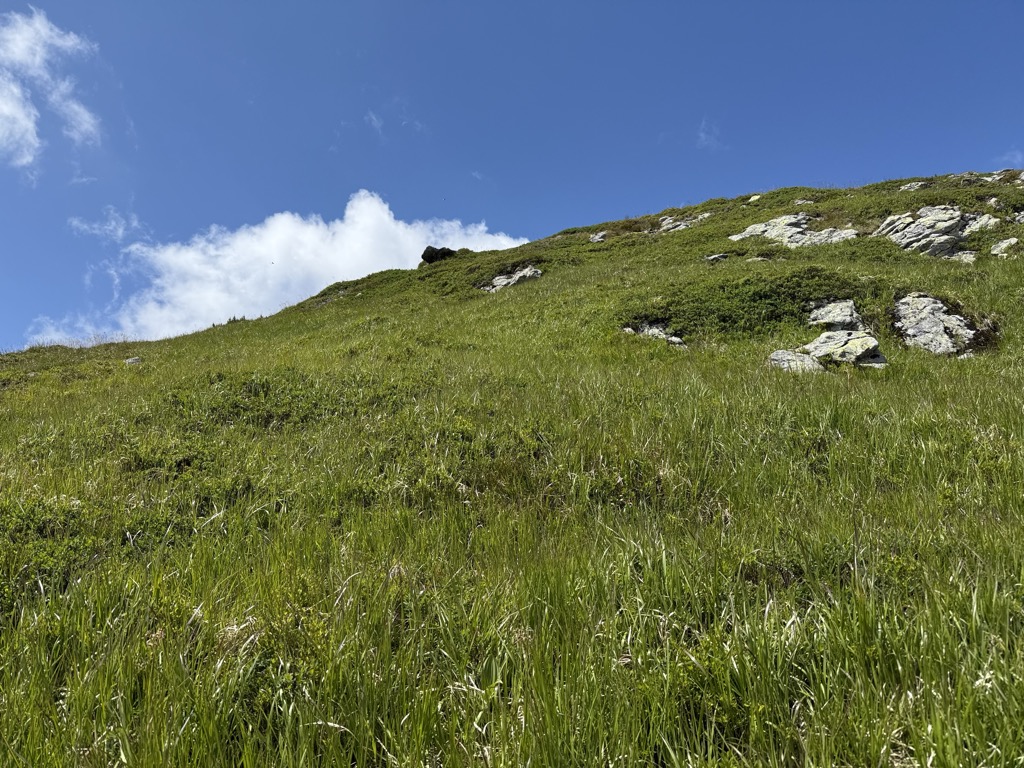 Photo №2 of Jalovecká kopa