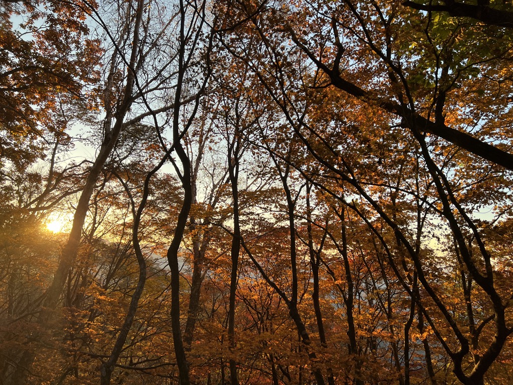 Photo №3 of Jangteomok Shelter