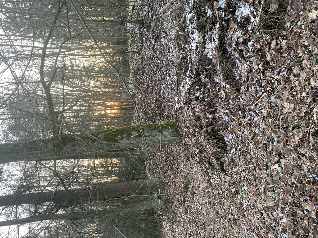 Photo №2 of Jezevčí skála [Letiny-Bzí]