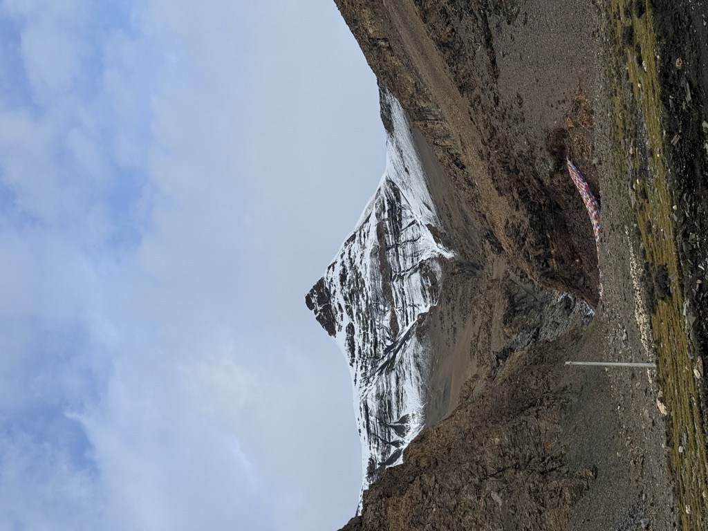 Photo №1 of Jiǔ Dàn Zhuó Mǎ