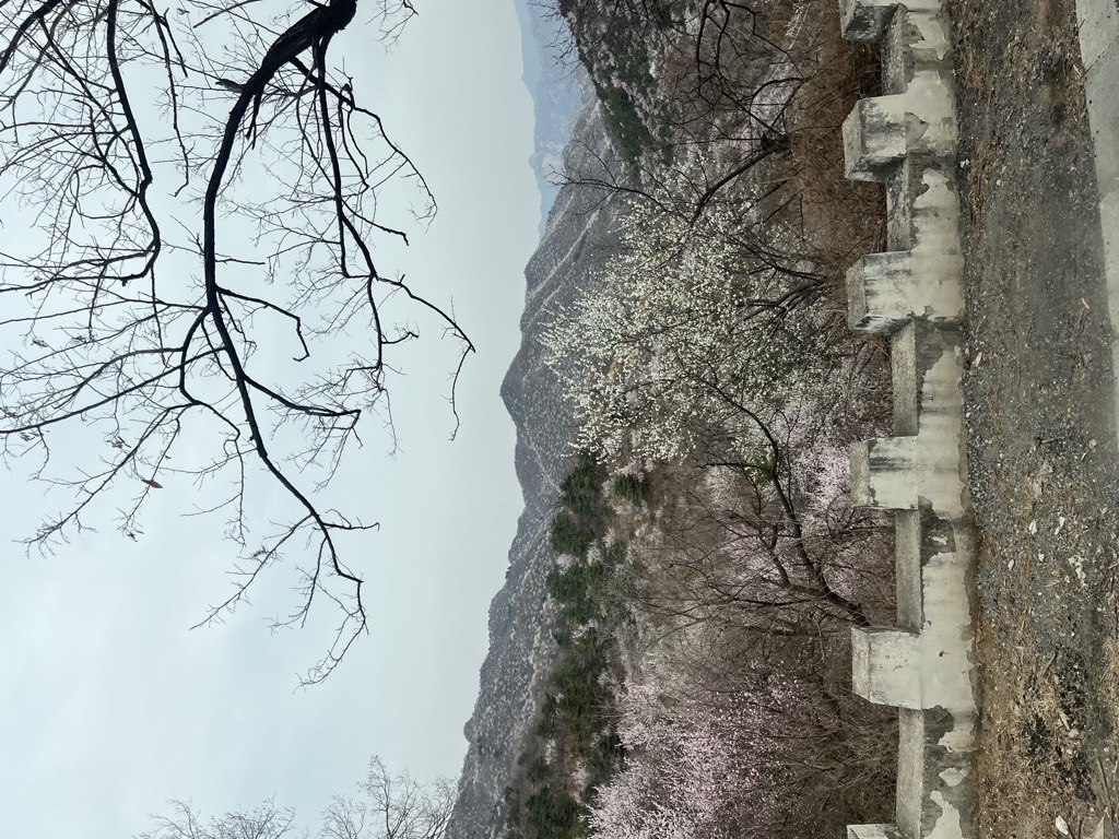 Photo №2 of Jiězì Shí Yā Kǒu