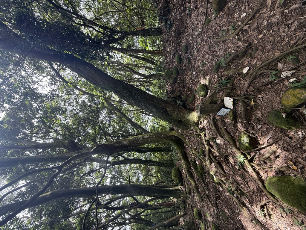 Photo №2 of Jiliaokengshan