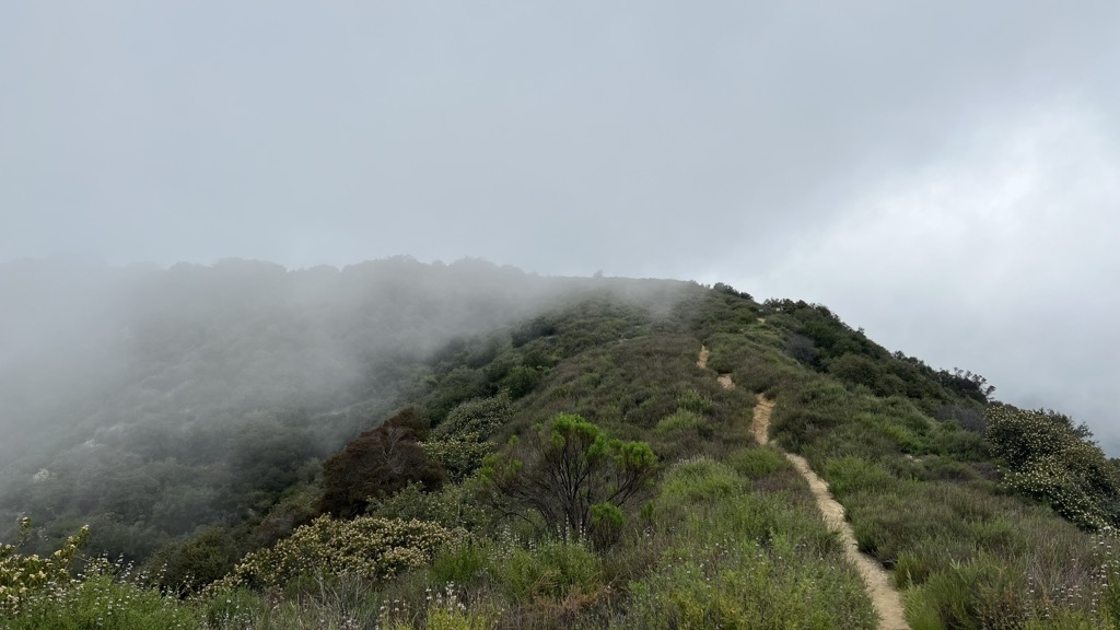 Photo №2 of Jones Peak