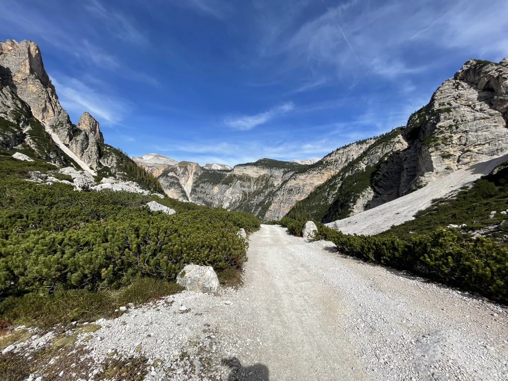 Photo №4 of Jú de Limo