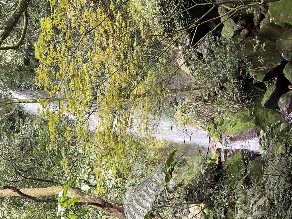 Photo №2 of Juansi Waterfall
