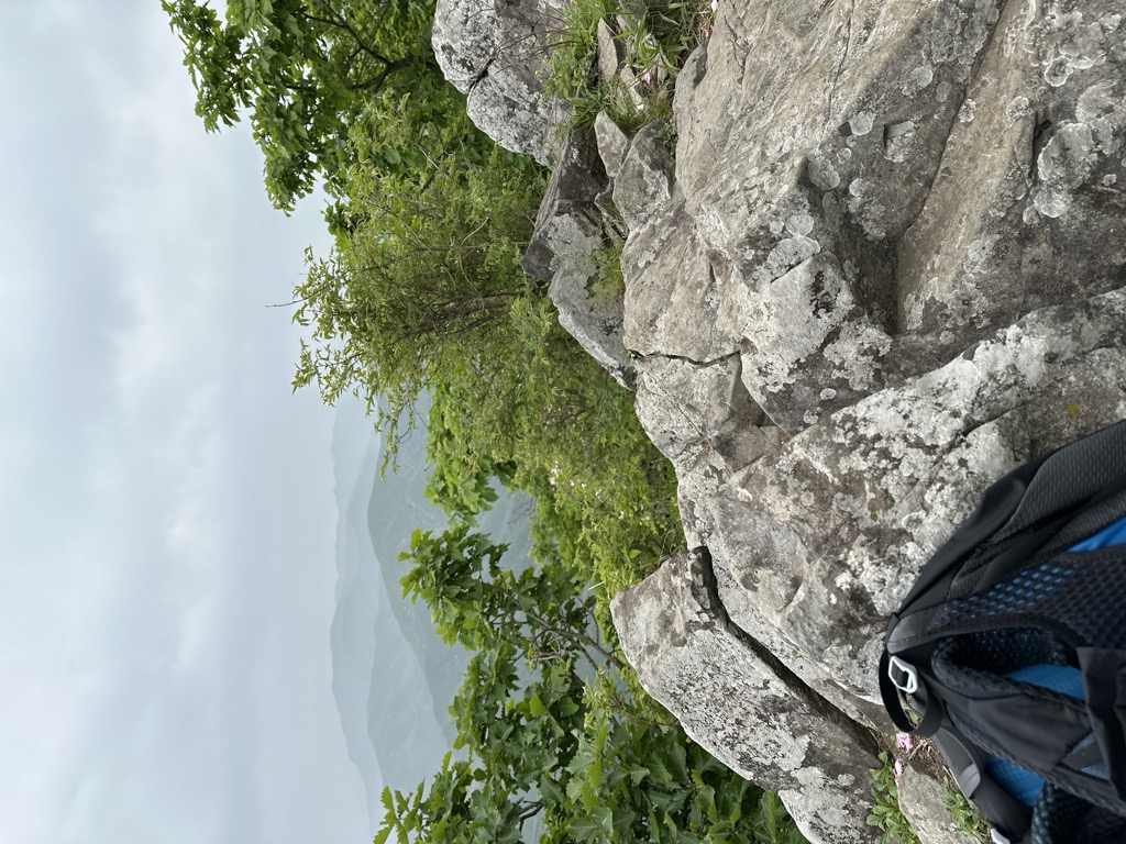 Photo №4 of Jungbong