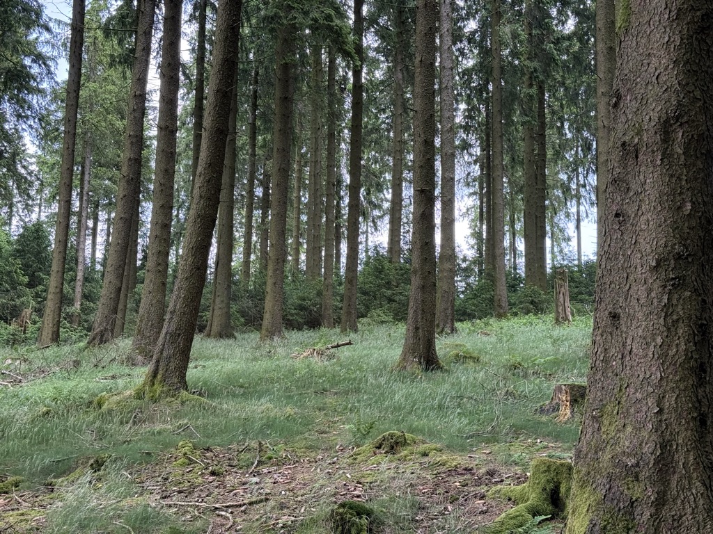 Photo №2 of Jürgensköpken