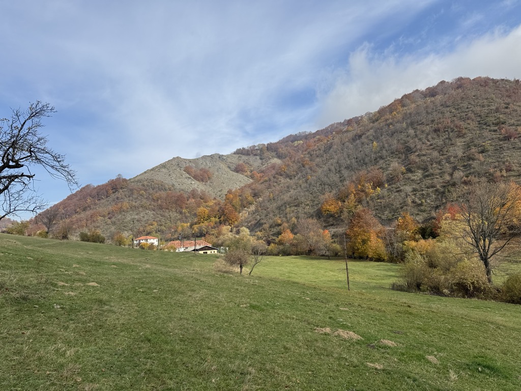 Photo №2 of Kaçandoll