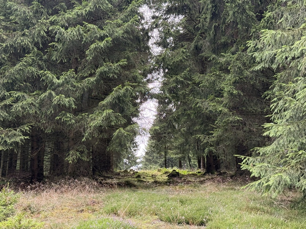 Photo №2 of Kahle Bauke