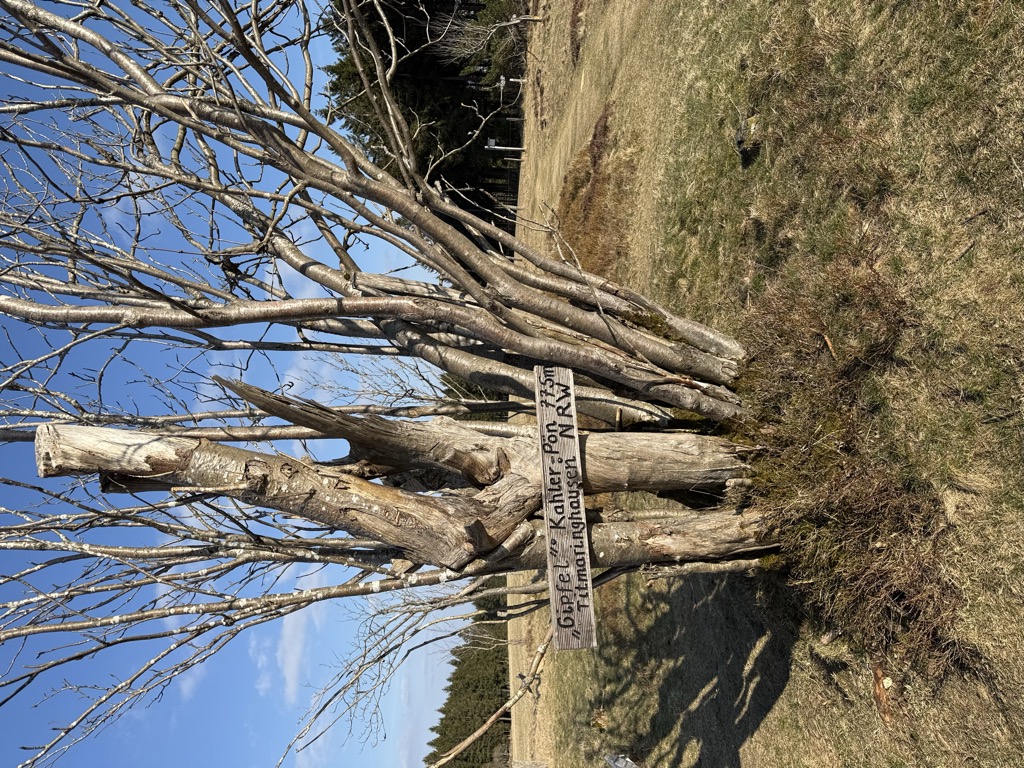 Photo №1 of Kahle Pön