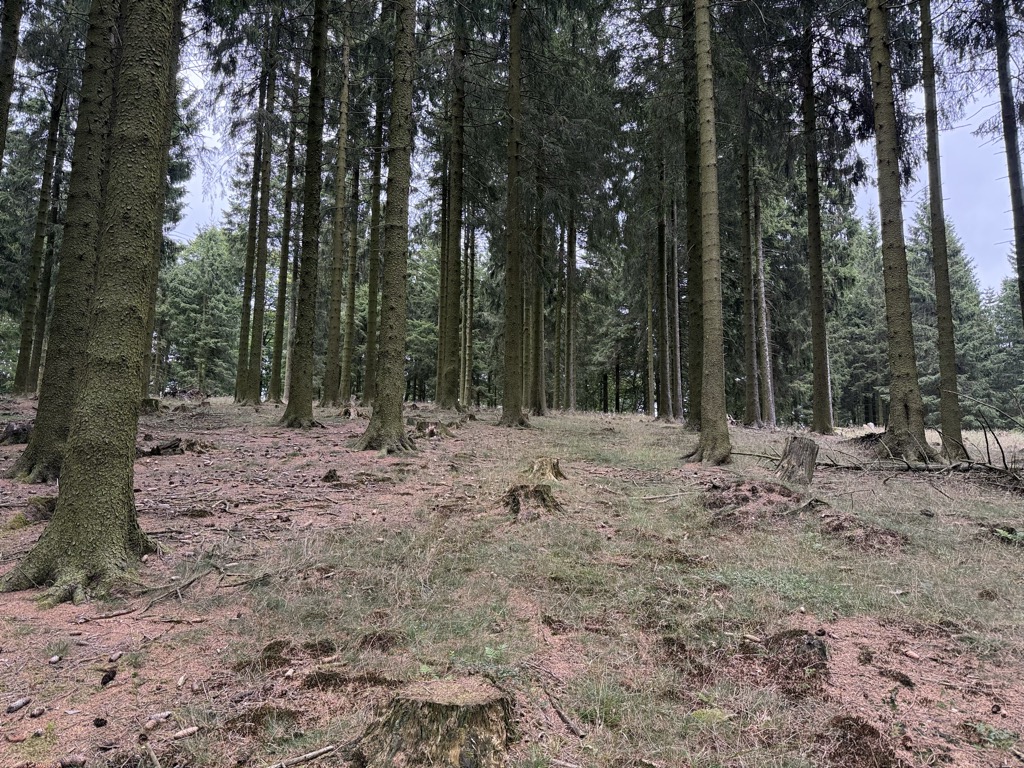 Photo №2 of Kahlenberg