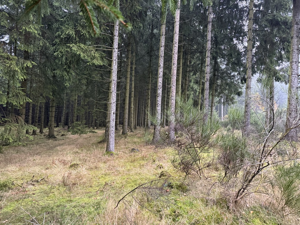 Photo №3 of Kahlenberg