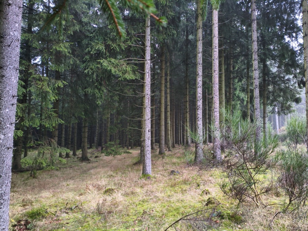 Photo №2 of Kahlenberg