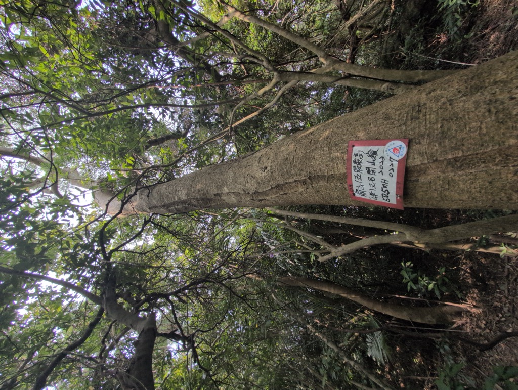 Photo №4 of Kaishanling