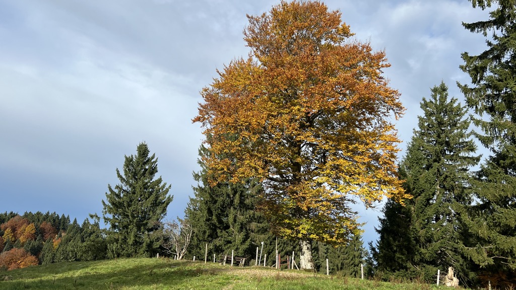 Photo №1 of Kalzhofner Höhe