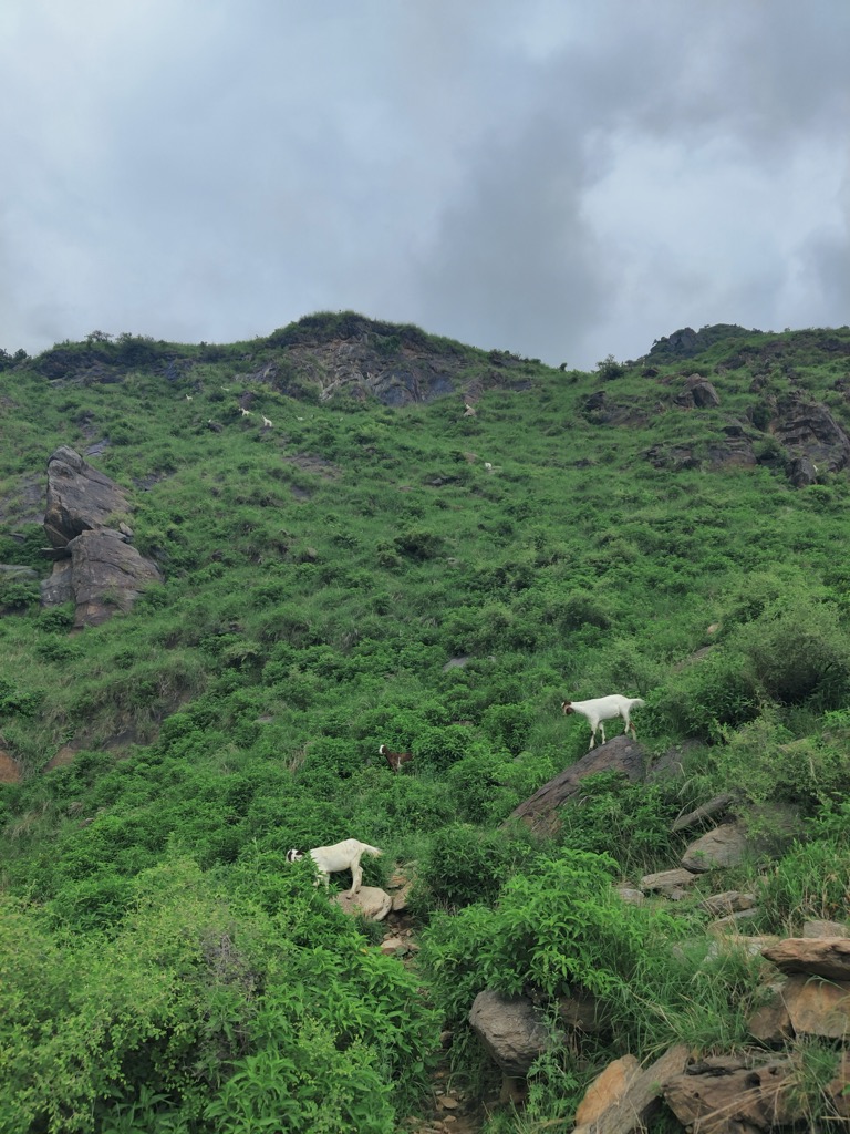 Photo №5 of Karamar