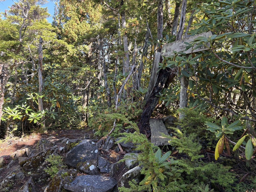 Photo №1 of Kasa Sakari San