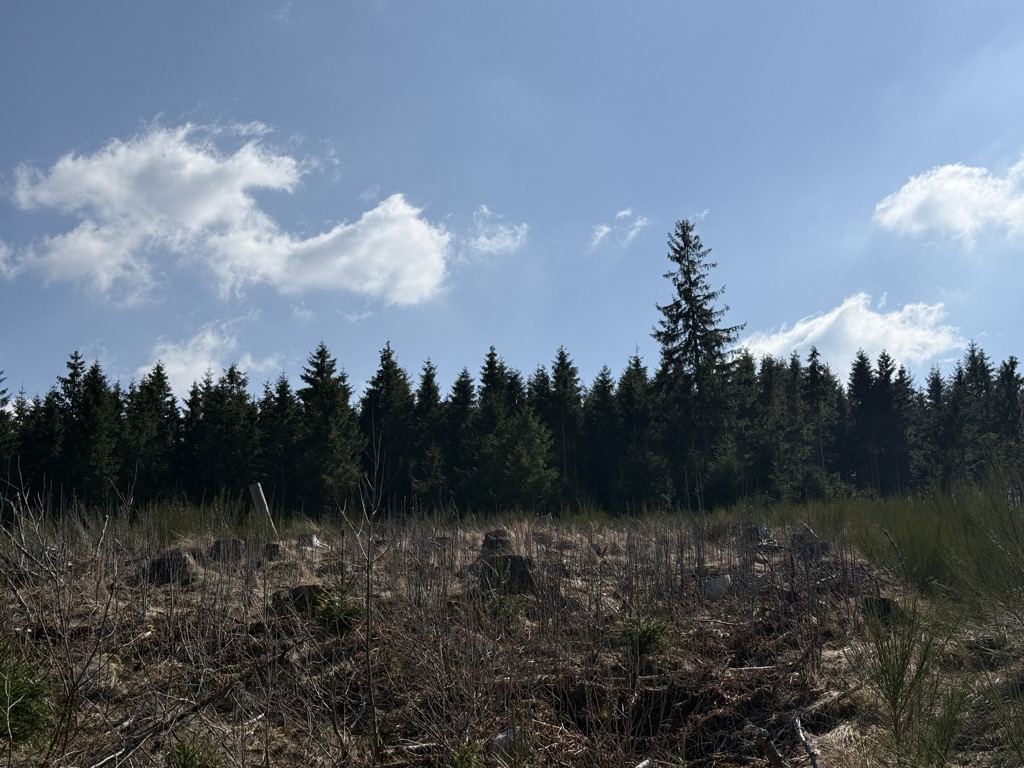 Photo №2 of Katerkopf
