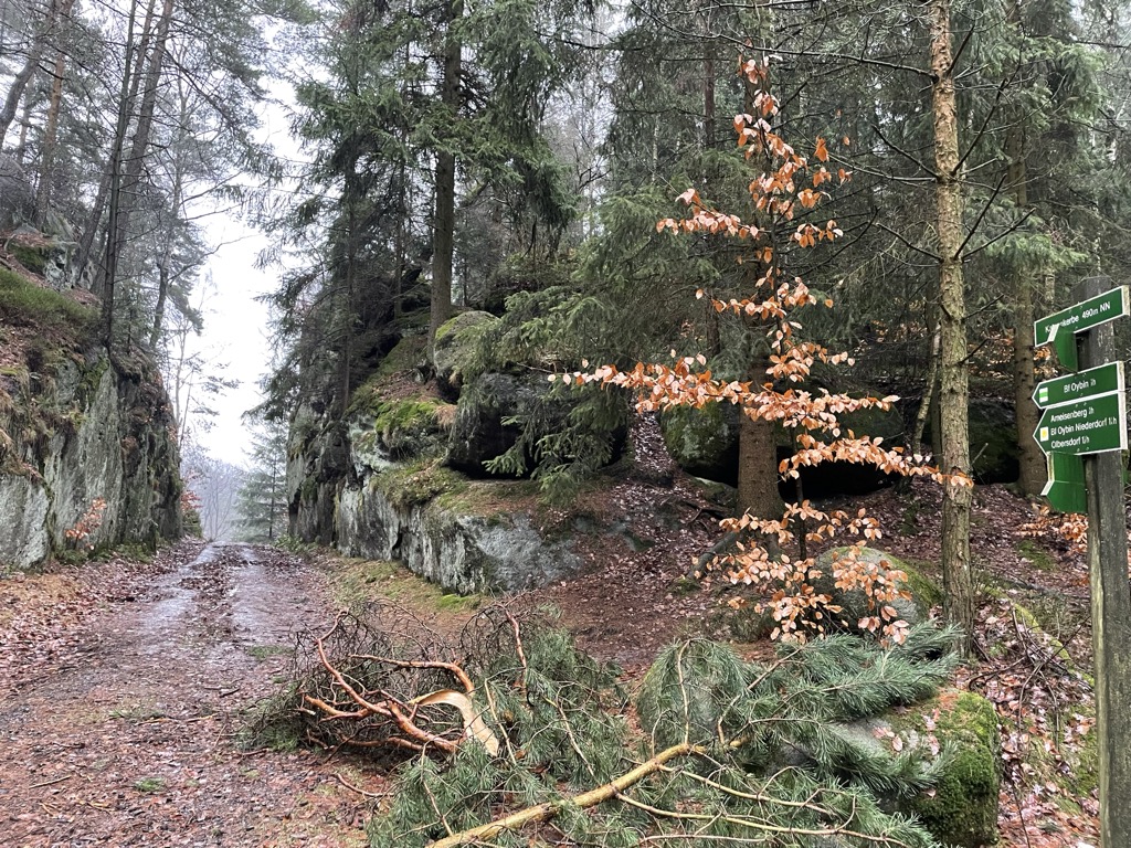 Photo №2 of Katzenkerbe