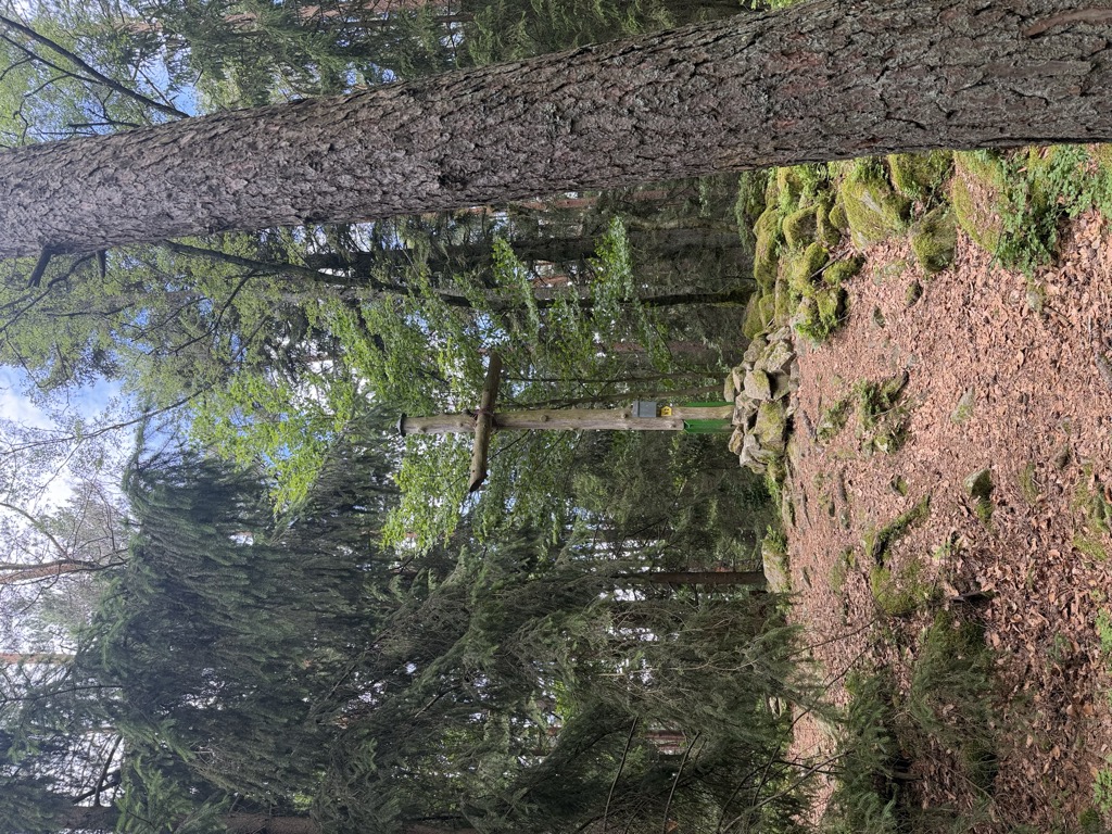 Photo №2 of Kempfendorfer Berg