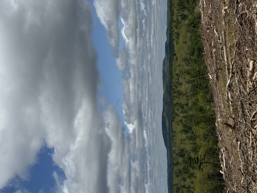 Photo №1 of Kennard Hill