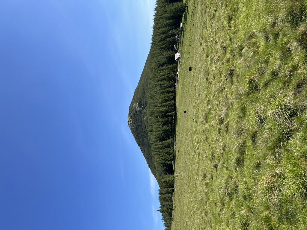 Photo №3 of Khomiak