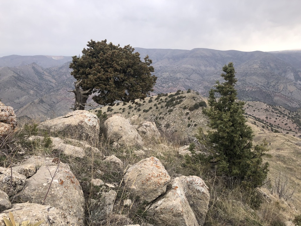 Photo №1 of Khosrovasar