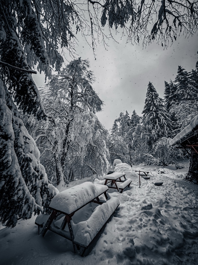 kikish-shelter-1