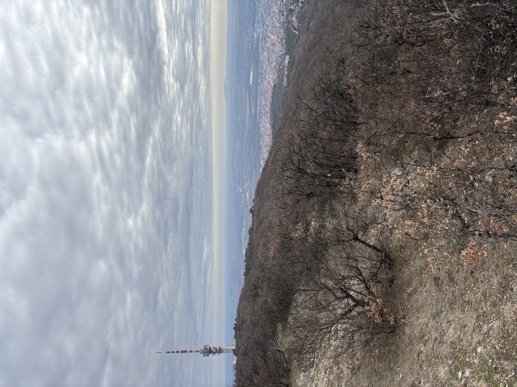 Photo №1 of Kis-Tubes