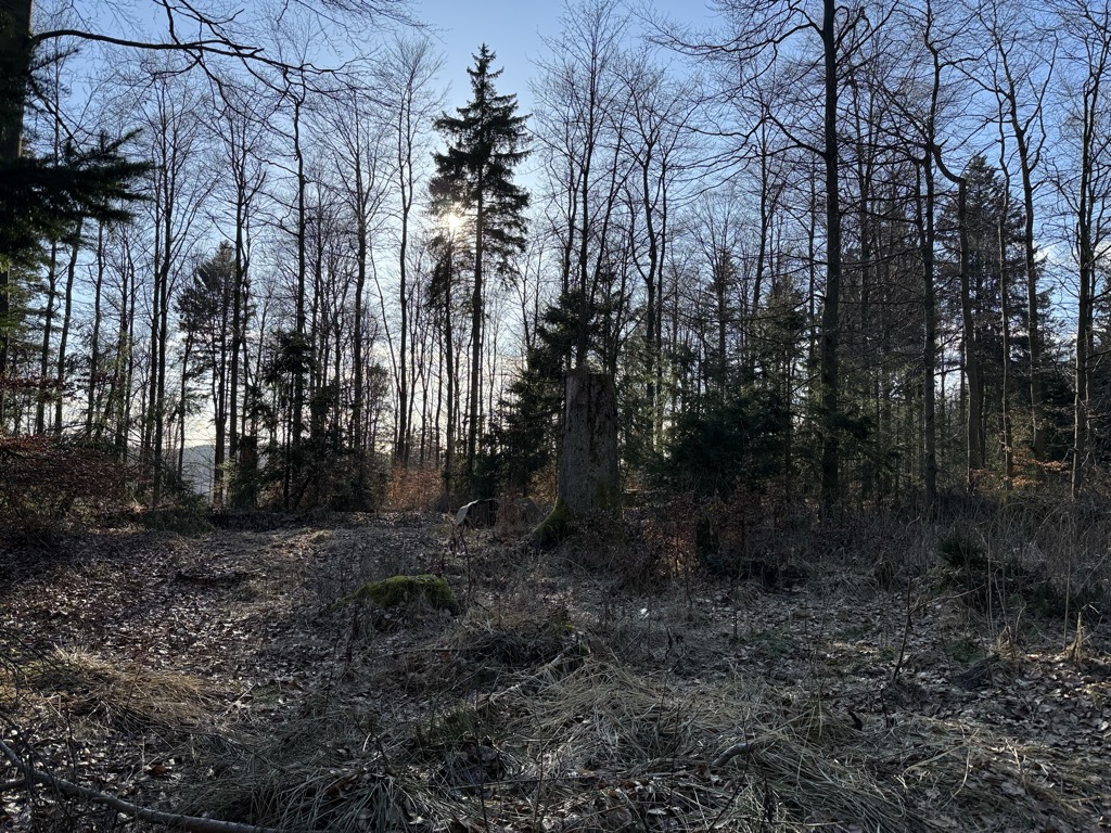 Photo №2 of Klappersberg
