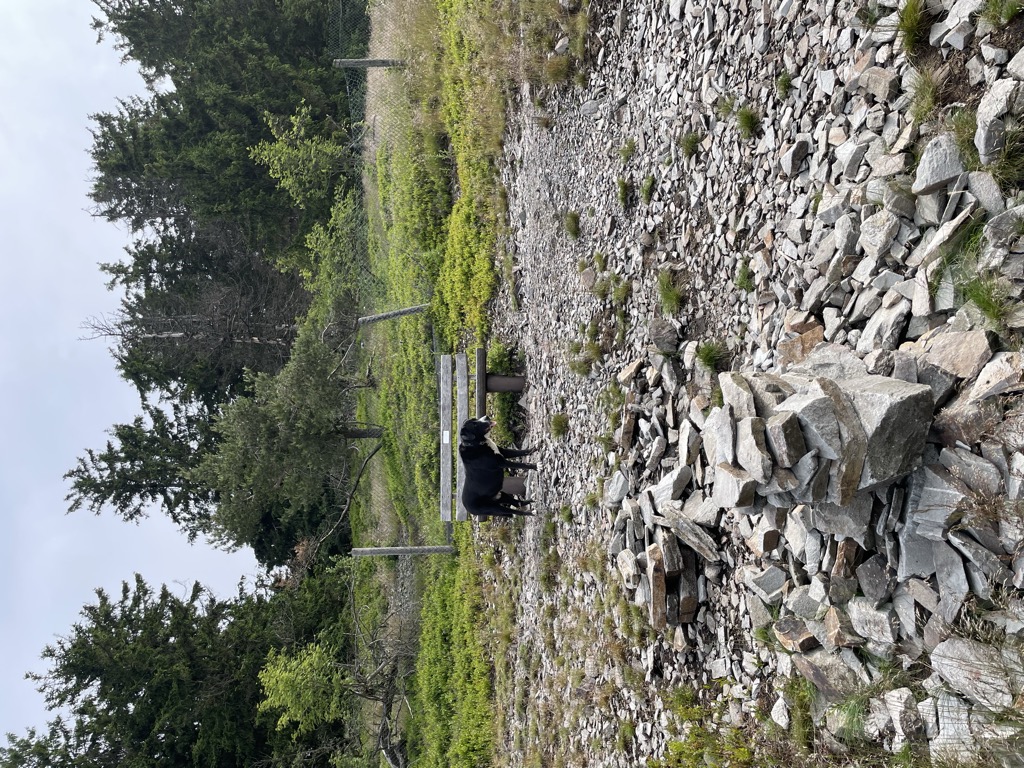 Photo №1 of Kleiner Feldberg