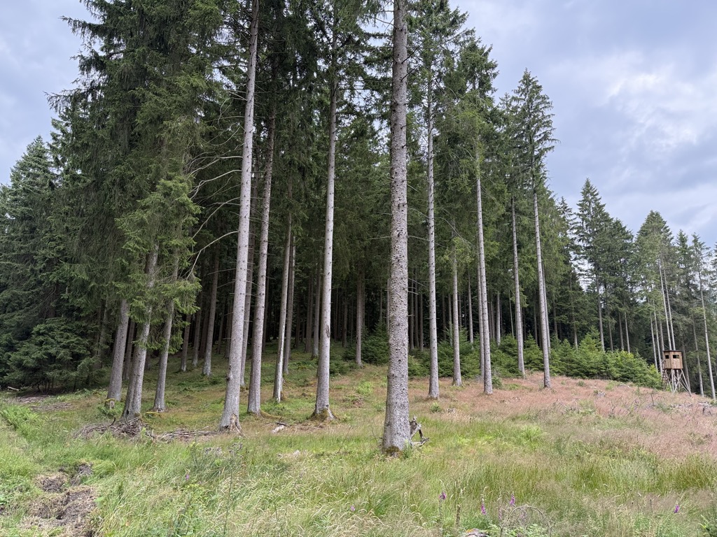 Photo №2 of Kleiner Hastenberg