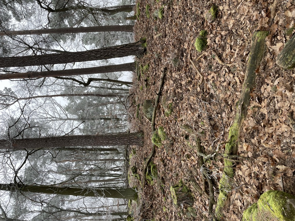 Photo №4 of Kleiner Peterskopf