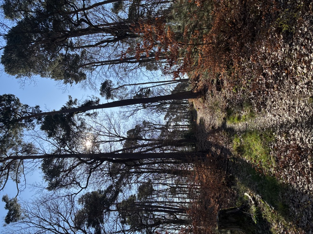 Photo №2 of Kleiner Peterskopf