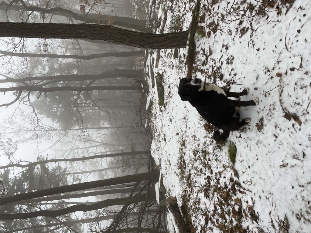 Photo №6 of Kleiner Peterskopf