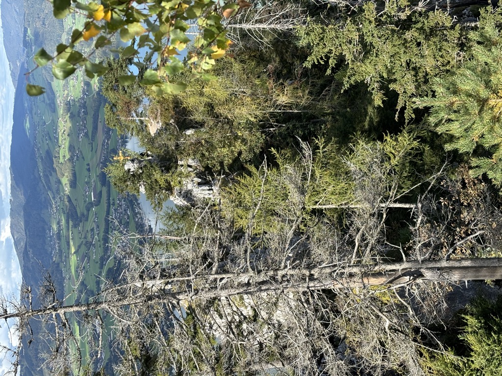 Photo №2 of Kleiner Schönberg