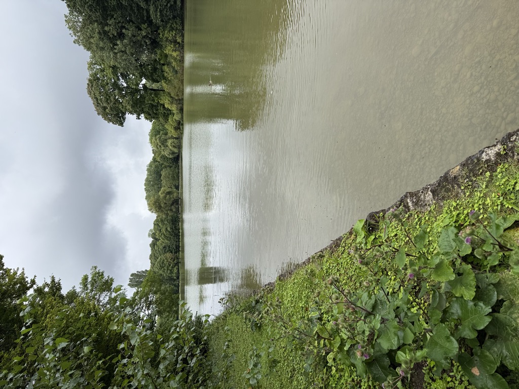 Photo №4 of Kleinhesseloher See