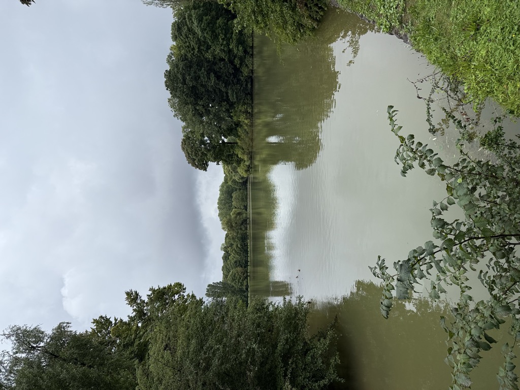 Photo №2 of Kleinhesseloher See
